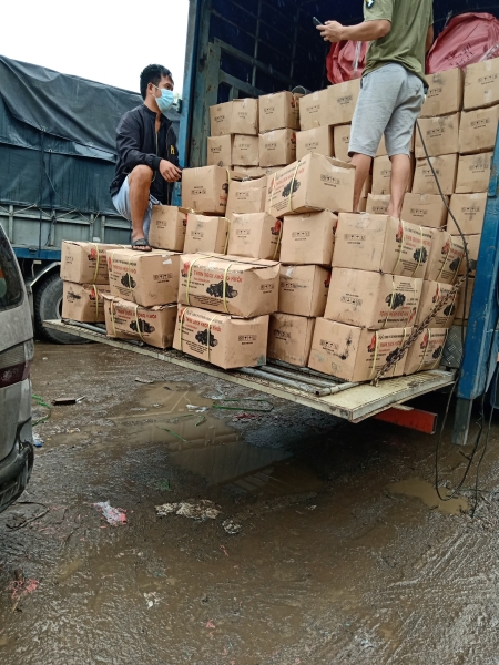 Hình ảnh nhà xưởng